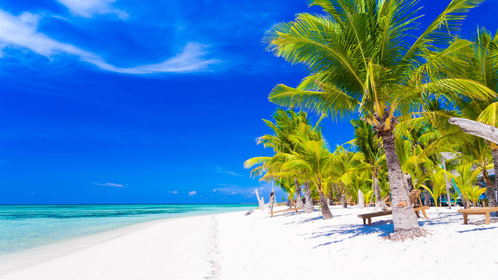 zanzibar beach